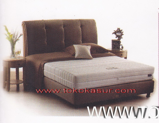 exotic firm, dreamline exotic firm